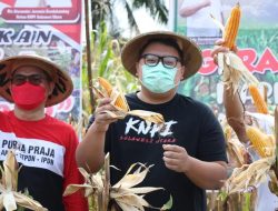 Panen dan Tanam Jagung, Rio Dondokambey: Mari Jo Bakobong!