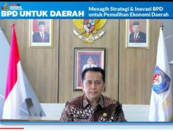 Pemulihan Ekonomi Daerah, Kemenko Perekonomian – Kemendagri Dorong Penguatan BPD