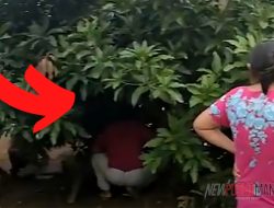 Heboh! Pohon Bernafas di Minahasa Tenggara