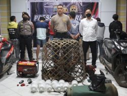 Judi Jenis Sabung Ayam di Kota Tomohon Terungkap