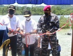 Wisata Mangrove Tunjang Perekonomian Masyarakat Sekitar