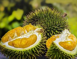 Apakah Durian Bisa Sebabkan Darah Tinggi ? Ini Kata Ahli