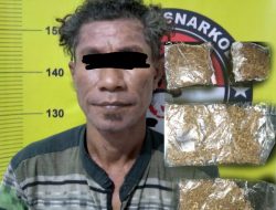 Ganja Siap Edar Diamankan Satres Narkoba Polres Bitung