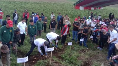 Pemkab Minsel Komitmen Sediakan Anggaran Upland Sesuai NPHD
