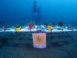 PLN UIP Sulawesi – Boboca Diving Club Kompak Menjaga Terumbu Karang Pantai Malalayang