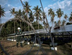 Jadi Ujung Tombak Penurunan Emisi di RI, Ini Upaya PLN Jaga Kelestarian Bumi