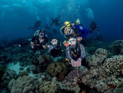 Spot Diving Mahena Point dan Barracuda di Bolsel, Pukau Mantan Bupati Pohuwato