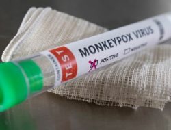 Pakar Penyakit Minta WHO dan Pemerintah Waspadai Cacar Monyet