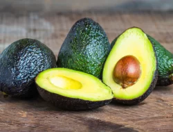 Manfaat Buah Alpukat Untuk Kesehatan