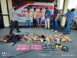 Polresta Manado Bekuk Tiga Pelaku Potas Bersama 12 Ekor Anjing Mati