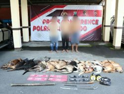 Pakai Mobil Rental Untuk ‘Doger’ Anjing, 3 Pria ini Diringkus Polresta Manado