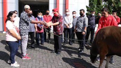 Pemkab Minahasa Serahkan Hewan Kurban Untuk 30 Masjid