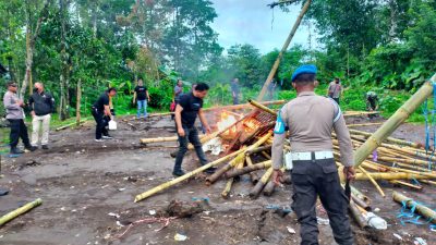 Tim Gabungan Bongkar Diduga Arena Sabung Ayam di Kawangkoan 