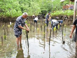Cegah Abrasi, Lantamal VIII Ajak Masyarakat Tanam Mangrove
