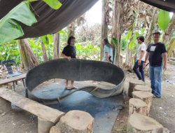 Resmob Polres Bolmong Berhasil Bongkar Judi Sabung Ayam, Para Pelaku Kocar Kacir