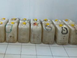 Satresnarkoba Polres Minut Gagalkan Peredaran Ratusan Liter Cap Tikus di Sukur