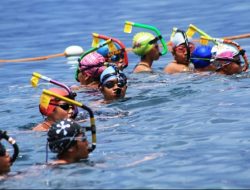 Lomba Selam Finswimming Warnai Festival Pesona Selat Lembeh 2022