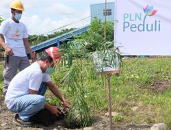 Serap Emisi 5,5 Juta ton CO2, PLN Tanam Lebih dari 1,47 Juta Pohon