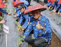 Canangkan Gerakan Marijo Bakobong dan ASN Menanam, OD Sampaikan Hal Penting