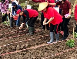 ROR- RD Terus Gaungkan Warga Menanam dan Beternak