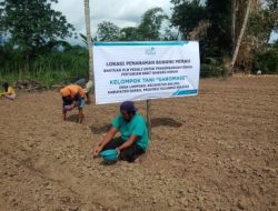 Kelompok Tani Bawang Merah di Sulsel Binaan PLN Raup Keuntungan Besar