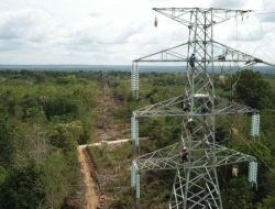 PLN Rampungkan SUTT 150 kV Antar Pulau di Sulawesi dengan TKDN 84,75 Persen
