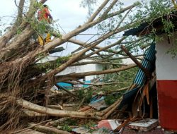 Pohon Tumbang Hancurkan Lima Ruang Kelas di SMPN 7 Manado