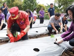 Salut, Bupati ROR Serius Antisipasi Krisis Pangan
