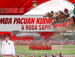 Esok, Lomba Pacuan Kuda dan Roda Sapi di Tompaso