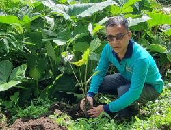 Senator SBANL Terus Ajak Tanam Pohon dan Buah