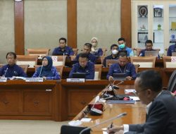 Komisi VI DPR Apresiasi PLN Siapkan Listrik Masa Mudik 2023, Lebih Dini, Lebih Baik, Lebih Antisipatif