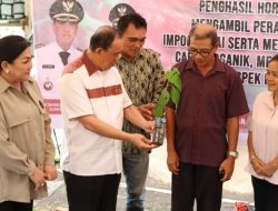KTNA dan P3C-NMN Sepakat, Minahasa Menuju Penghasil Cabai
