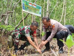 Cegah Abrasi Pantai, TNI-POLRI Di Bolsel lakukan Penanaman Mangrove