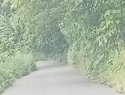 Warga Labuan Uki Keluhkan Kondisi Jalan Dipenuhi Semak, Sering Terjadi Kecelakaan