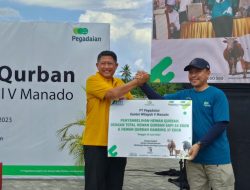 Pegadaian Kanwil Manado Kurbankan 71 Ekor Sapi dan Kambing untuk Kaum Dhuafa