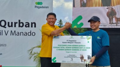 Pegadaian Kanwil Manado Kurbankan 71 Ekor Sapi dan Kambing untuk Kaum Dhuafa