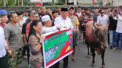 Gubernur Sulut Olly Dondokambey Salurkan Bantuan Sapi Kurban ke Pengurus Masjid