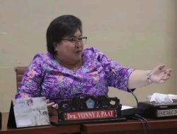 Vonny: RS Jangan Jadi Pengumpul PAD