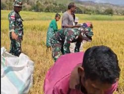 Pos Perbatasan Aplal Peduli Perkembangan Gizi Ekonomi Daerah