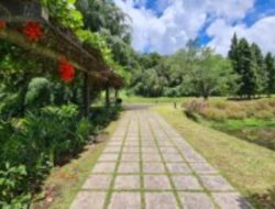 Taman Kelong Tomohon Potensi Menjanjikan, Tapi Perlu promosi Lebih Lanjut
