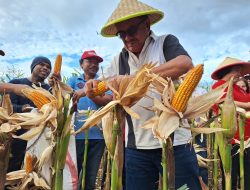 Pemkot Bitung Galakkan ASN Menanam Demi Kesejahteraan Masyarakat