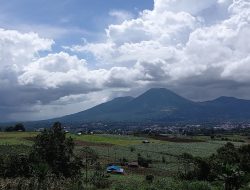 Petani Tomohon “Teriak” Pupuk Subsidi Hilang di Pasaran