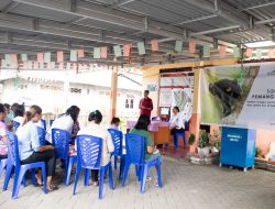 PLN Konsisten Lestarikan Monyet Hitam Sulawesi Melalui Berbagai Kegiatan Konservasi