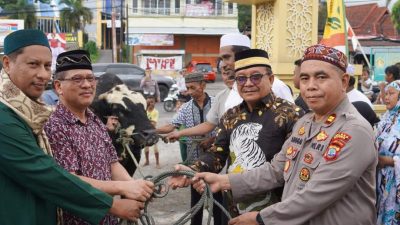 Idul Adha 1445/2024, Mantiri Serahkan Bantuan Kemasyarakatan Presiden Berupa Hewan kurban Sapi