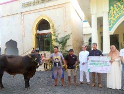 Hari Raya Idul Adha 1445 H, Pegadaian Kanwil Manado Berikan 77 Ekor Sapi dan Kambing Kurban