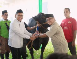 Idul Adha 1445 H, Pegadaian Berkurban Salurkan 822 Ekor Hewan untuk Masyarakat