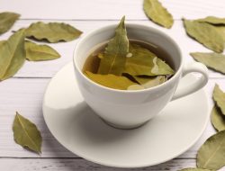 Minum Rebusan Daun Salam Setiap Hari, Apakah Aman?
