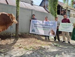 Idul Adha, Pegadaian Kanwil V Manado Salurkan 58 Hewan Kurban