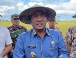 Gubernur Panen Raya Padi di Bolsel, Pastikan Keberhasilan Program Revitalisasi Pemprov Sulut