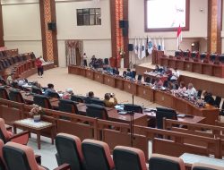 Berty Kapojos Kembali Usulkan Roda Sapi Masuk KUA-PPAS APBD 2026